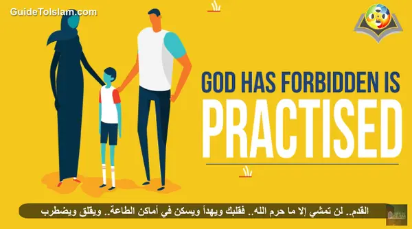 حياة المسلم الجديدة