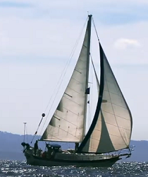 "Do you not see that ships sail through the sea by the favor of Allah"